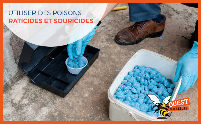 Utiliser des poisons raticides et souricides